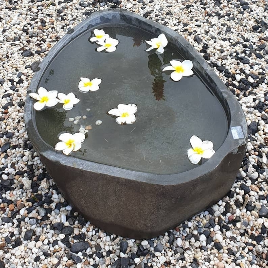 Dark natural stone garden basin filled with water and floating white frangipani flowers, set on white and black gravel