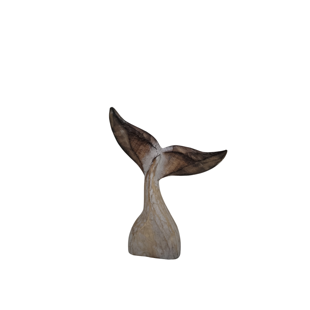whale tail rustic brown tip with white wash body on white back ground 