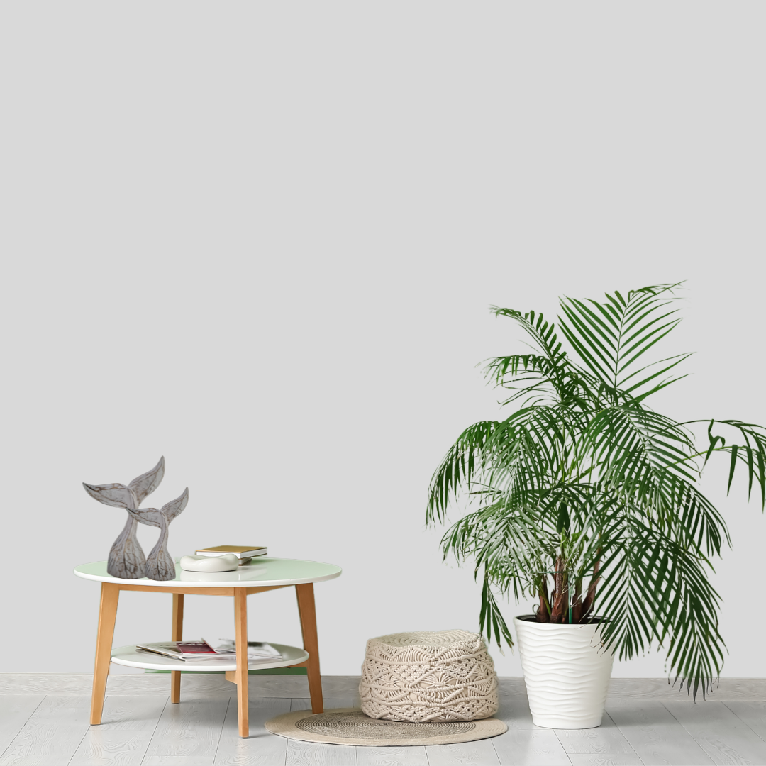 Modern interior with a small table, decorative whale tails and a potted plant against a light gray wall.