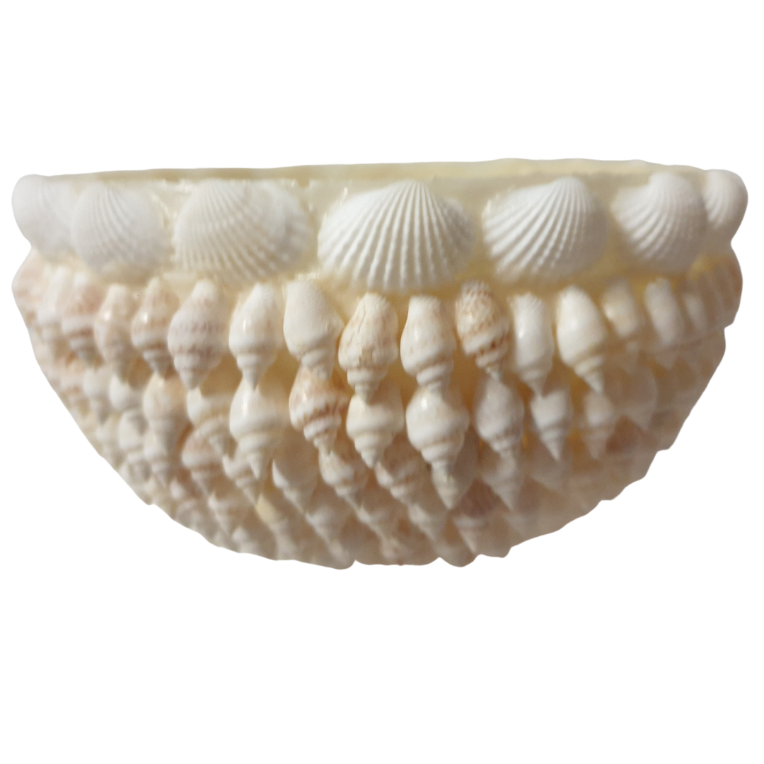 Shell Bowl Decor Set