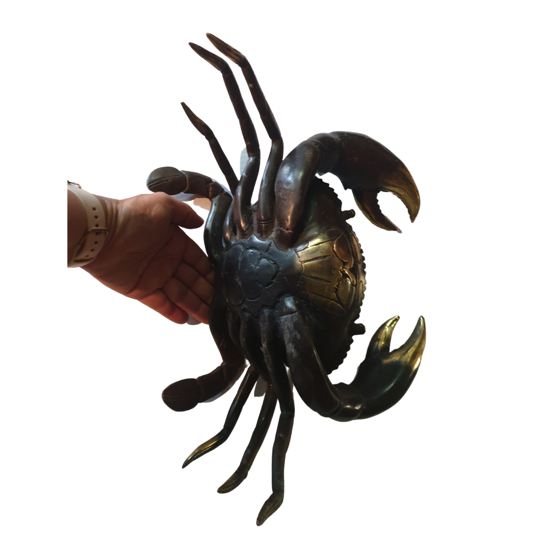 under view of the crab