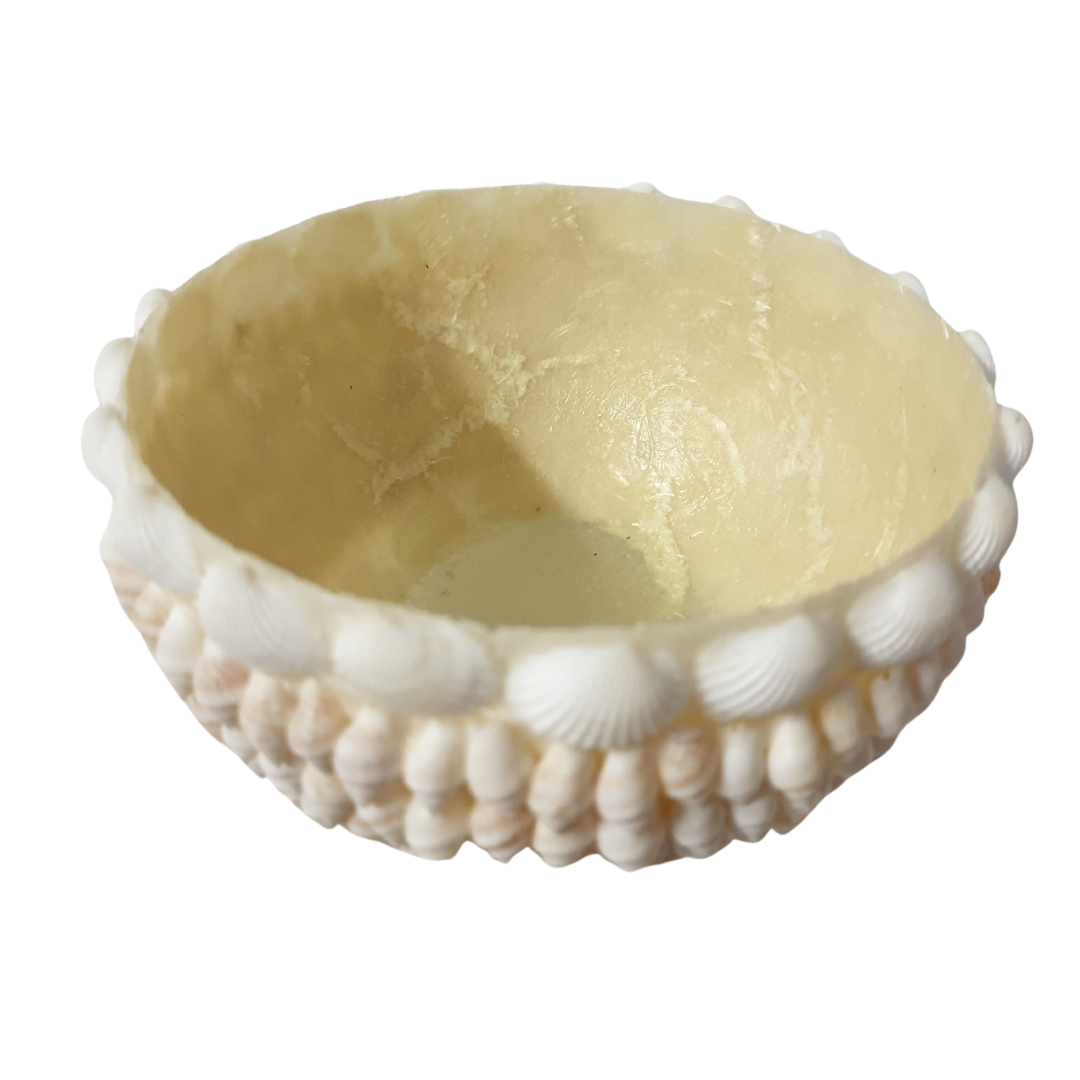 Shell Bowl Decor Set