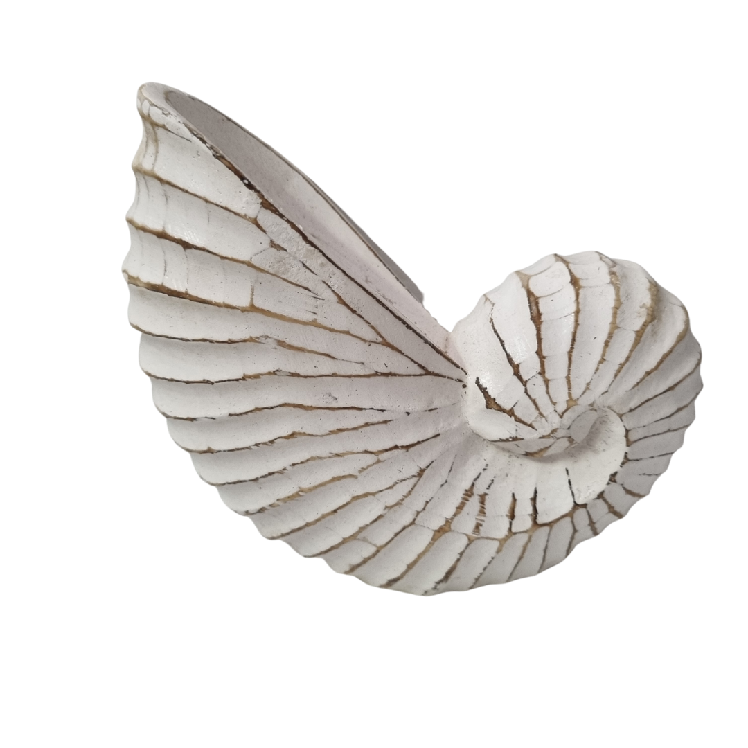 Nautilus Wooden Shell Carving White