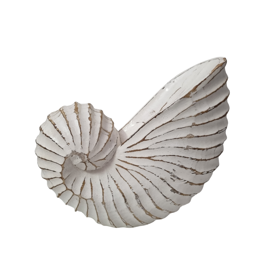 Nautilus Wooden Shell Carving
