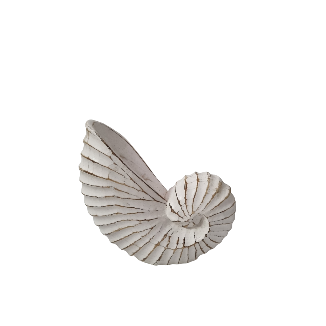 Nautilus Wooden Shell Carving