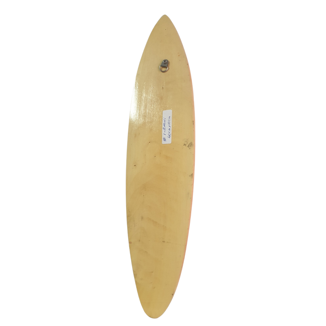Mini Surf Boards Wall Art