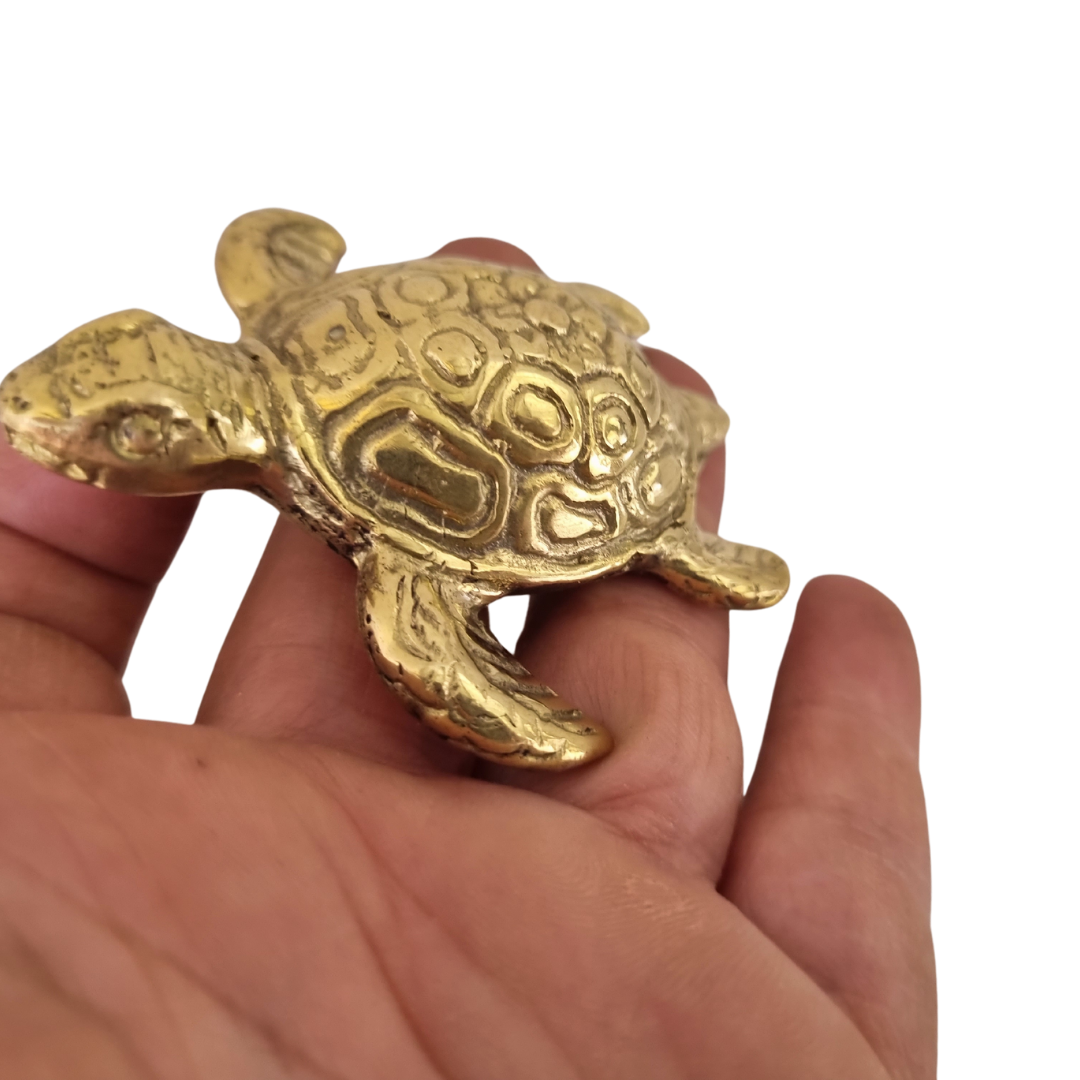 Brass gold turtle set in a palm to show the actual size. 