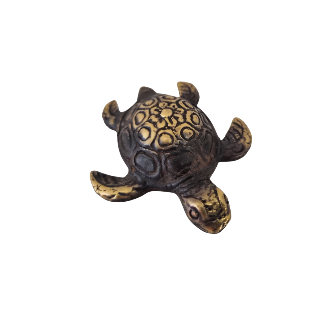 top view of a turtle figurines set on a white back ground 