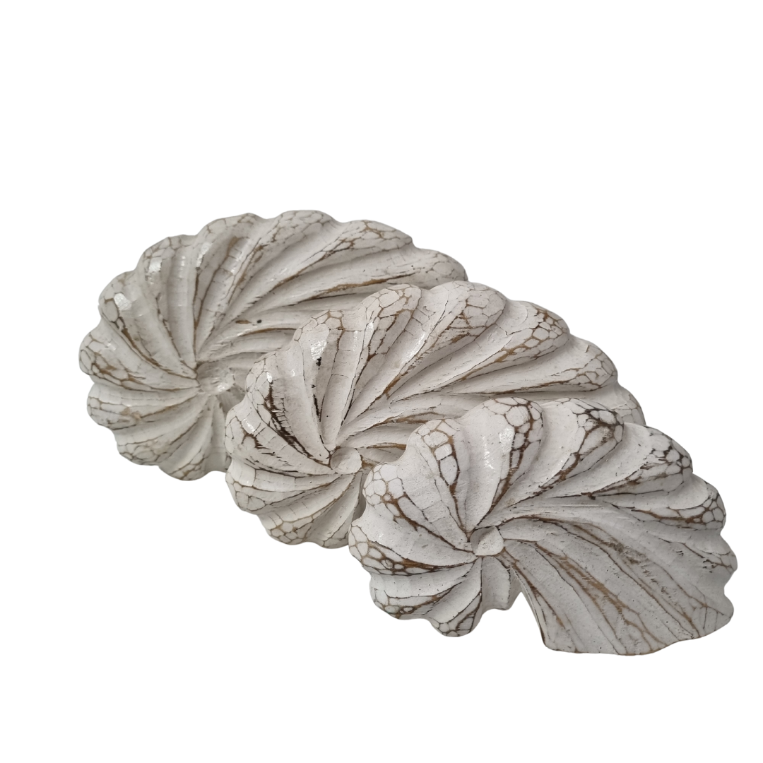 Nautilus Wooden Shell Carving 