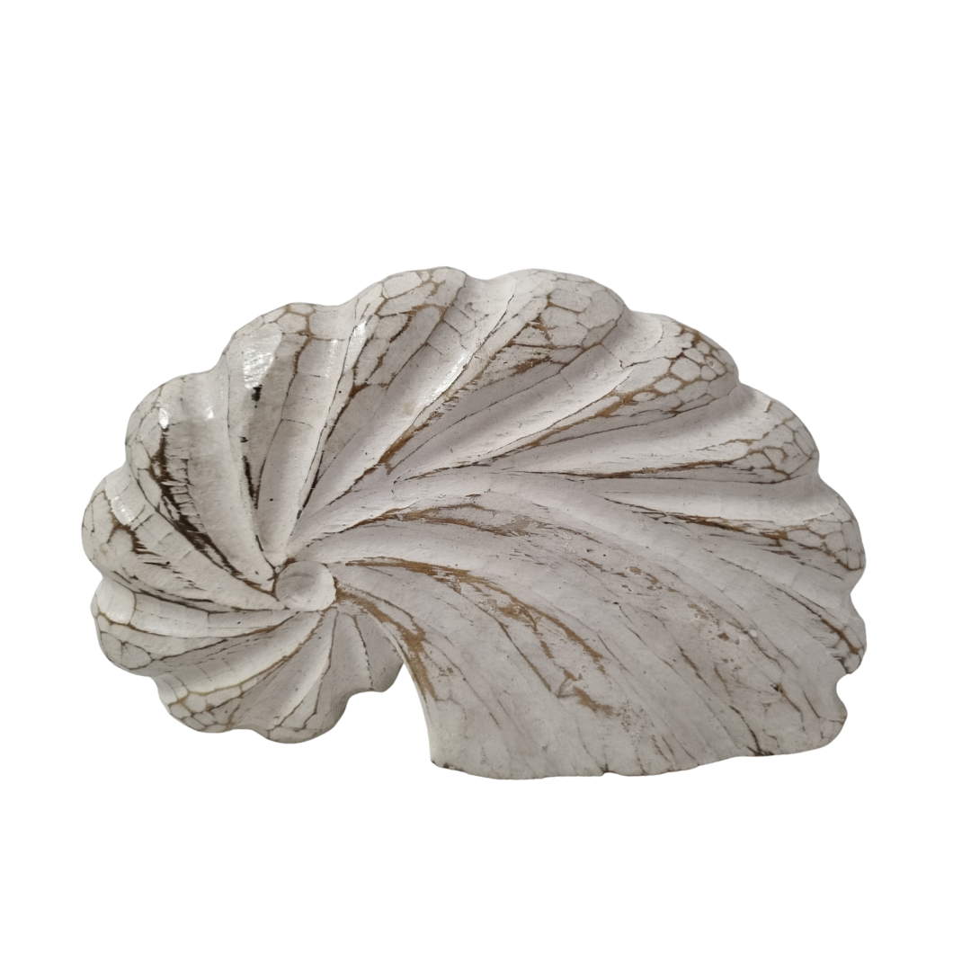 Nautilus Wooden Shell Carving
