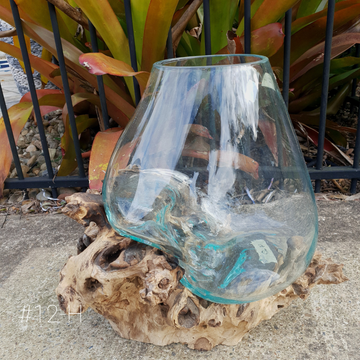 style 12-H, aqua glass bowl on gnarly driftwood, tropical background