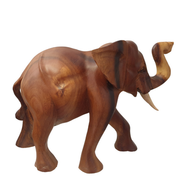 Rich warm brown grain with natural wood markings and a smooth polished finish, photographed on a white background. Style 1.