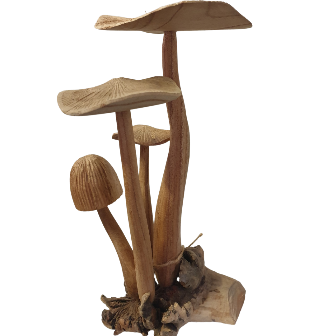 Carved Mushroom on Parasite Wood