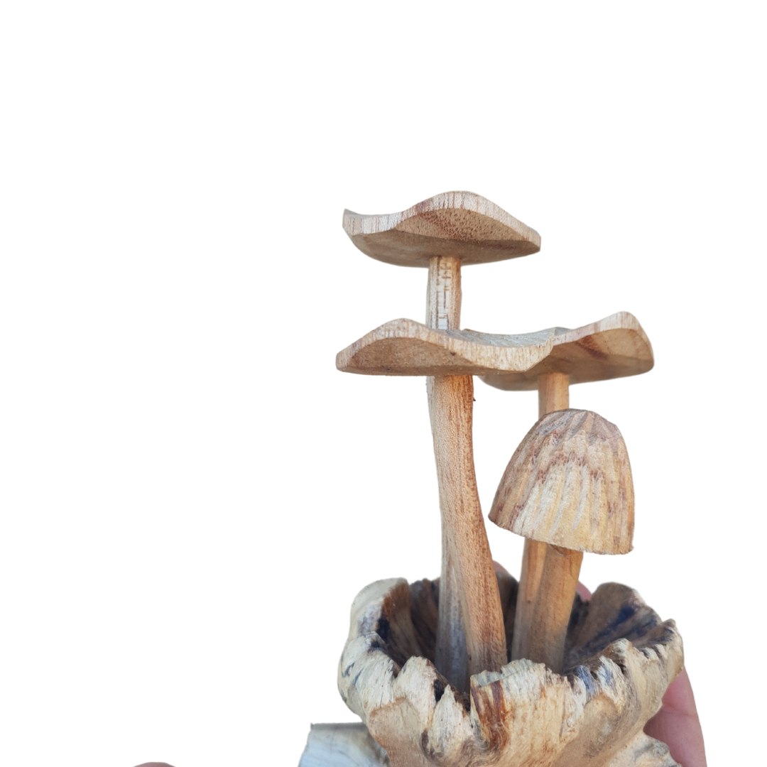 Mushroom Artwork Wooden Carvings
