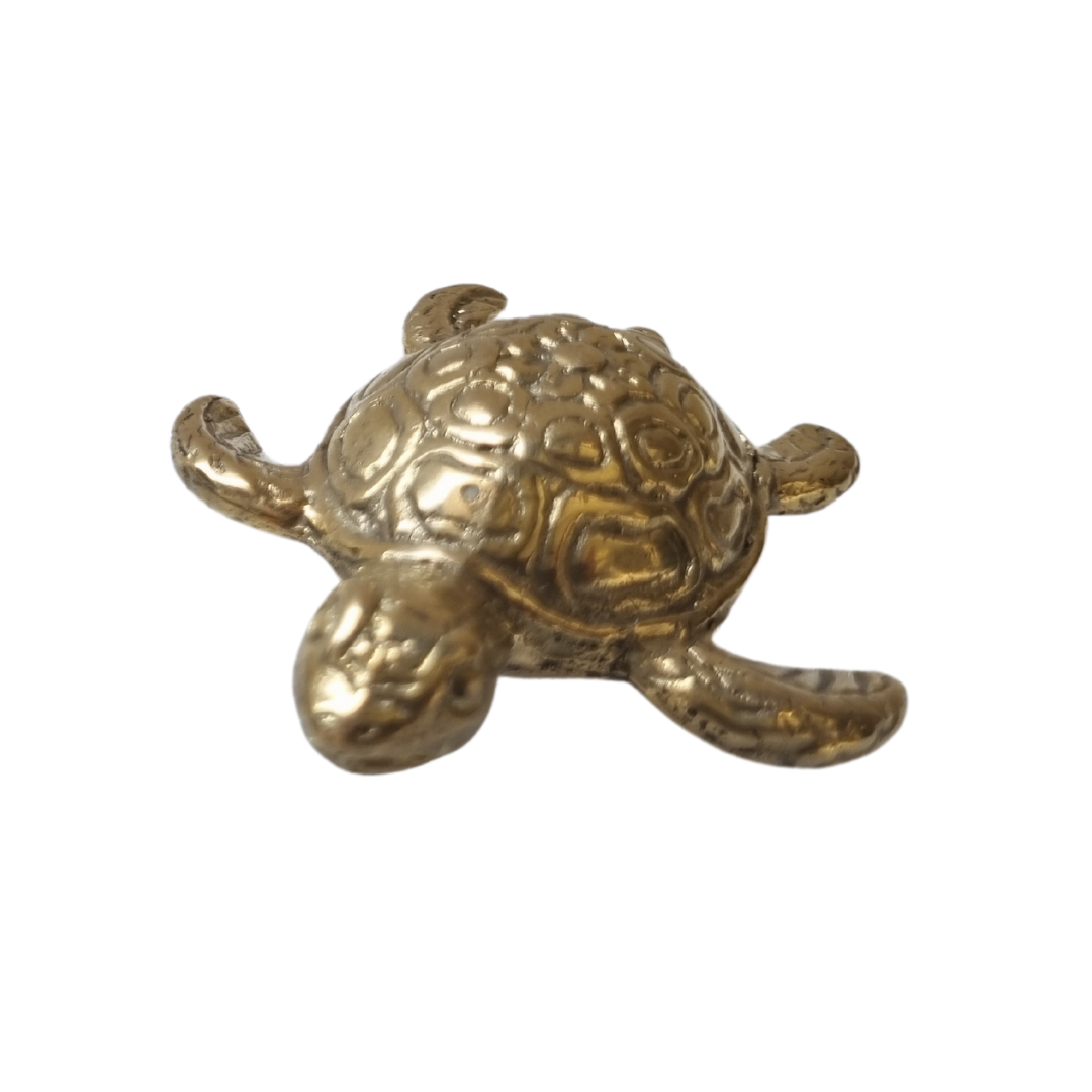 vintage brass tortoise coin 