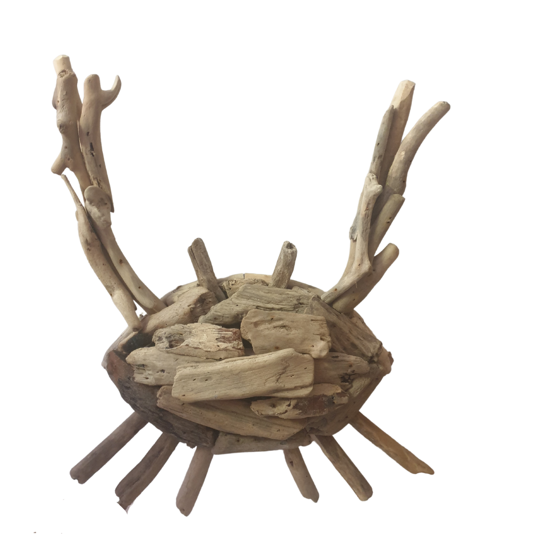 Driftwood Crab Wall Art